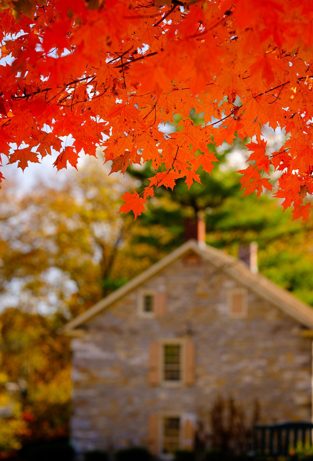 A colonial home framed by autumn leaves